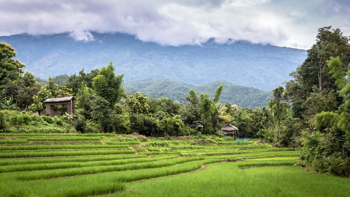 Pai weather and seasonal landscape